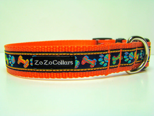 Bones & Paws on Orange Collar