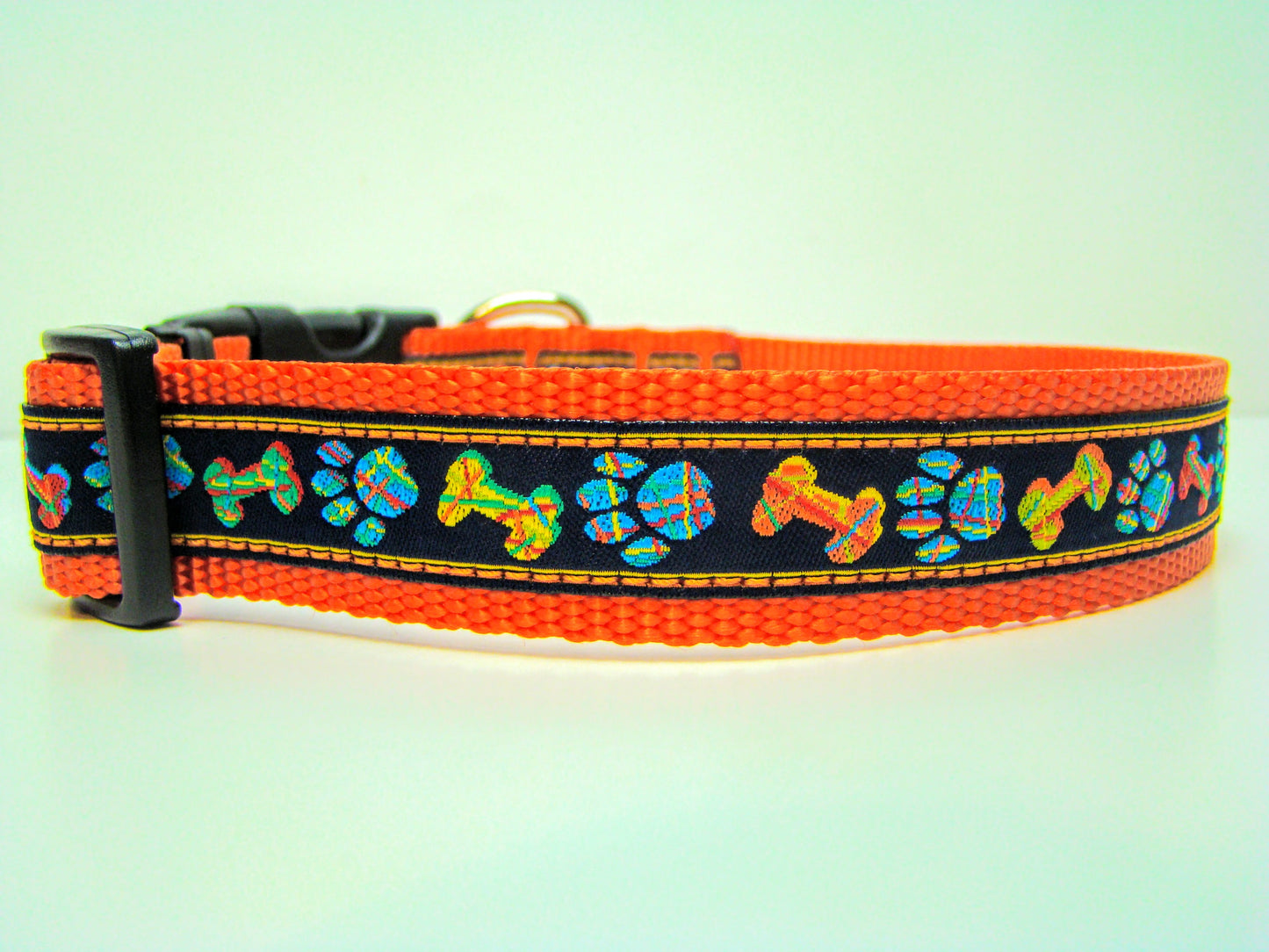 Bones & Paws on Orange Collar